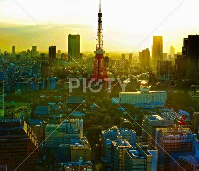東京の夕景