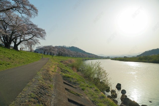 写真のタイトルが入ります