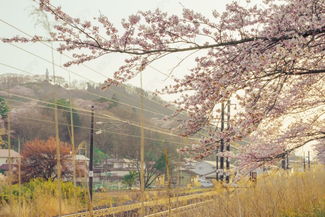 写真のタイトルが入ります