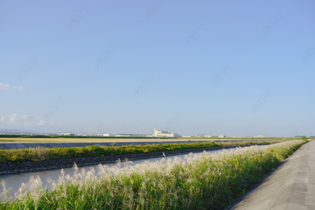 写真のタイトルが入ります