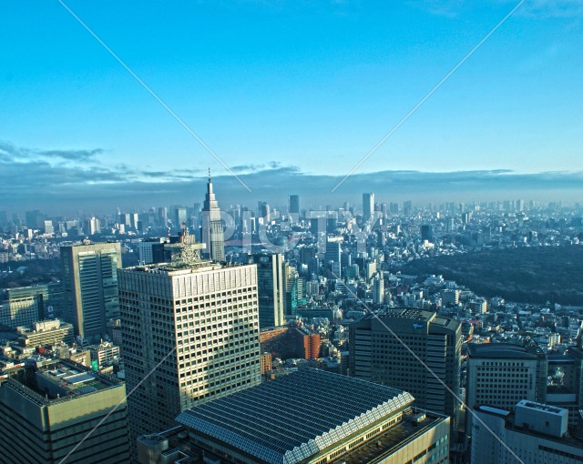 写真のタイトルが入ります