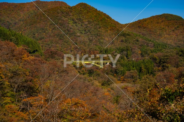 写真のタイトルが入ります