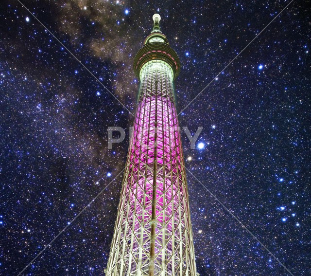 写真のタイトルが入ります