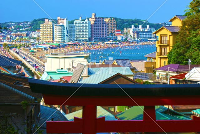 写真のタイトルが入ります