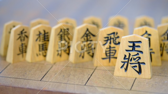 写真のタイトルが入ります