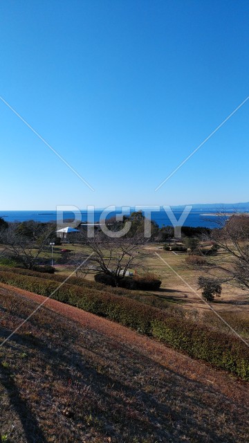 三崎公園から見た太平洋