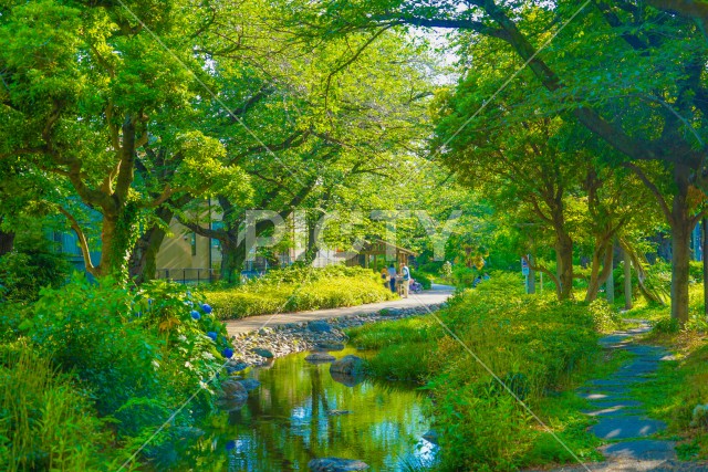 残堀川緑道公園（立川市）