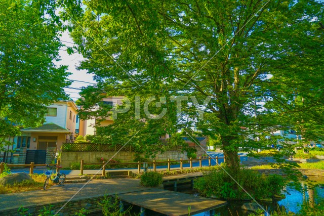 残堀川緑道公園（立川市）