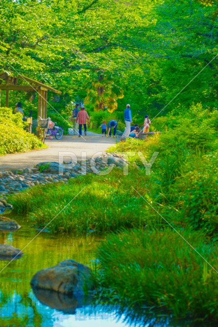 残堀川緑道公園（立川市）