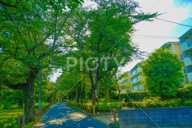 残堀川緑道公園（立川市）