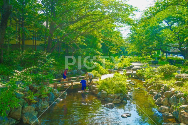 残堀川緑道公園で遊ぶ子どもたち