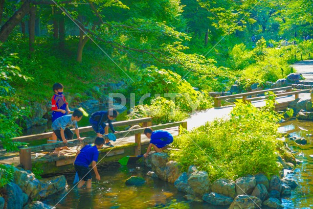 写真のタイトルが入ります
