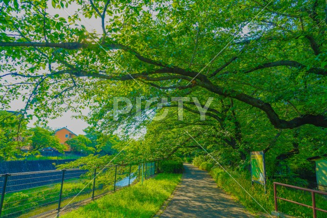 写真のタイトルが入ります