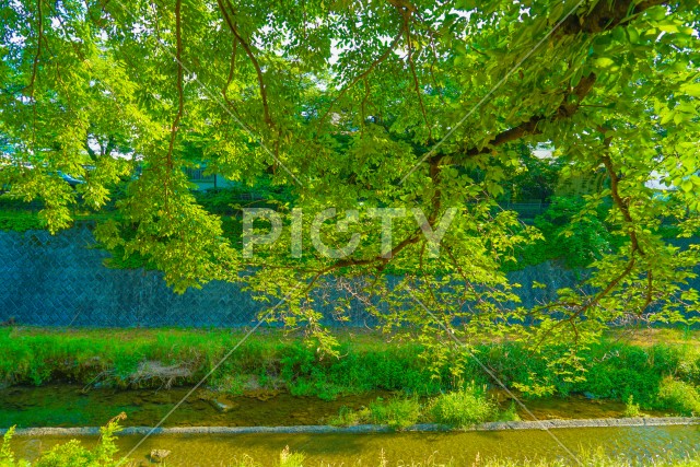 写真のタイトルが入ります