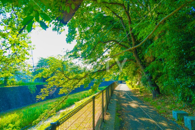 写真のタイトルが入ります