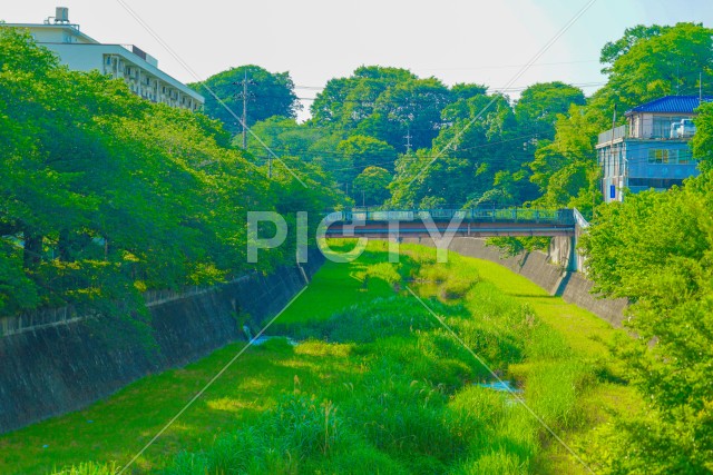 残堀川緑道公園（立川市）
