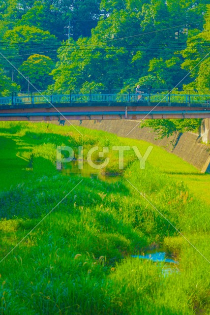 残堀川緑道公園（立川市）