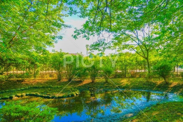 残堀川緑道公園（立川市）
