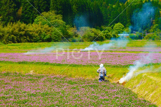 春の畑イメージ