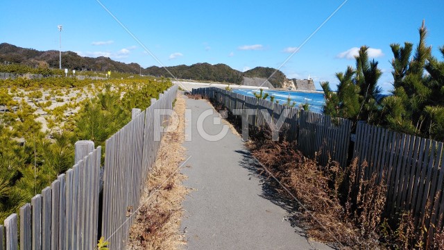 写真のタイトルが入ります