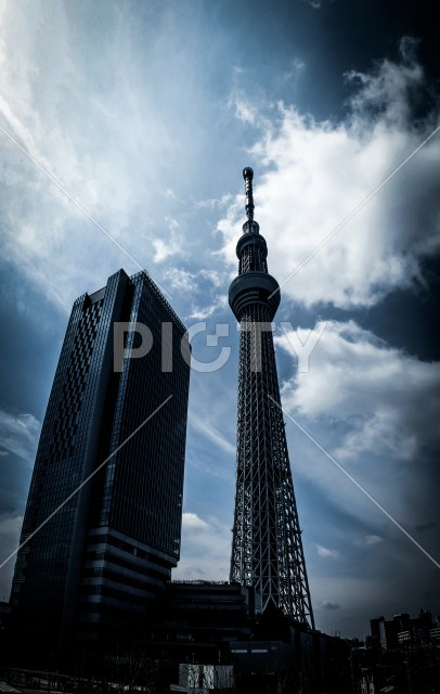 写真のタイトルが入ります