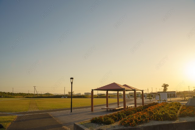 写真のタイトルが入ります