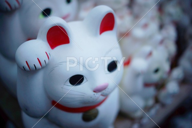 写真のタイトルが入ります
