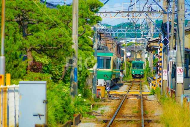写真のタイトルが入ります