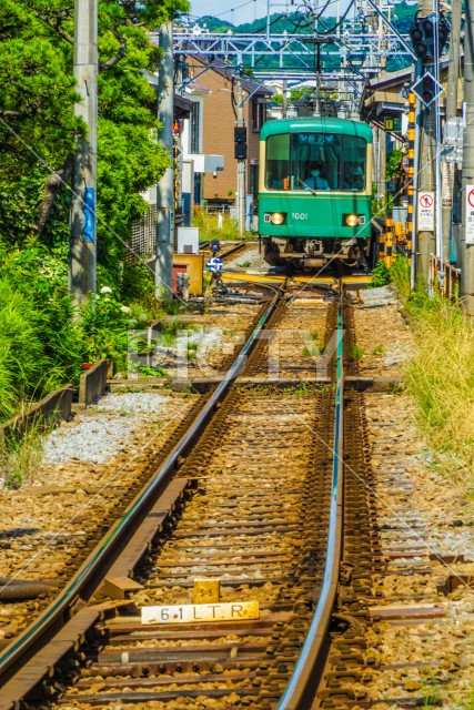 写真のタイトルが入ります