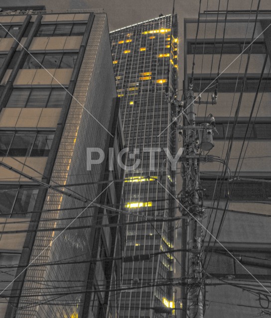 写真のタイトルが入ります