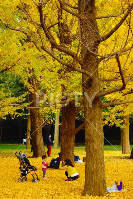 写真のタイトルが入ります