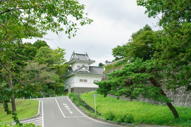 写真のタイトルが入ります