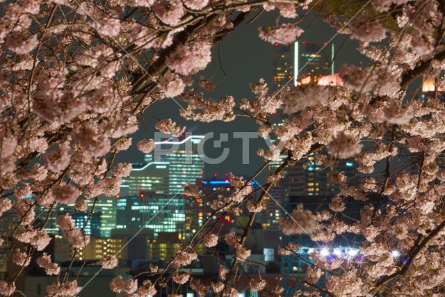 写真のタイトルが入ります
