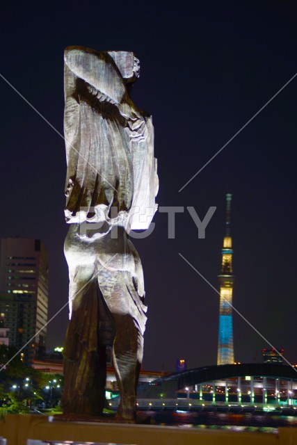 写真のタイトルが入ります