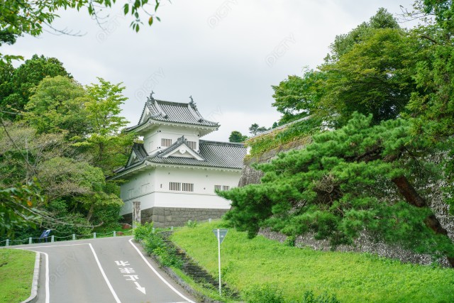 写真のタイトルが入ります