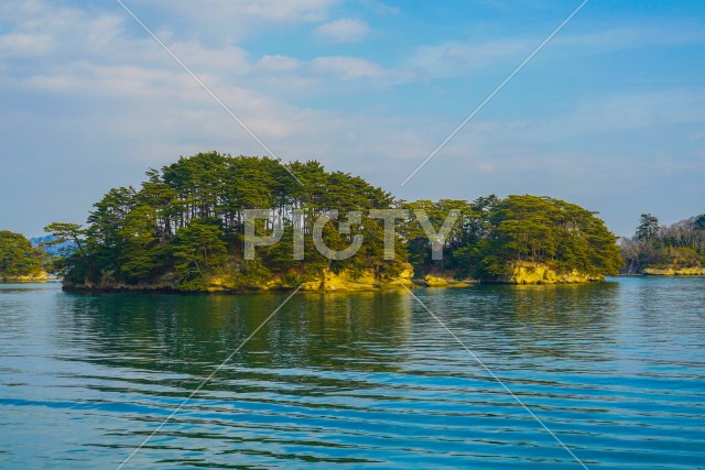 写真のタイトルが入ります