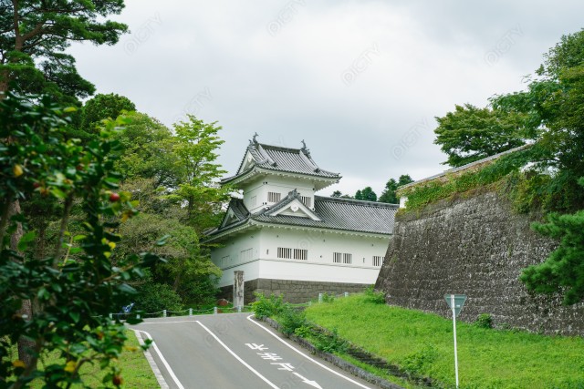 写真のタイトルが入ります