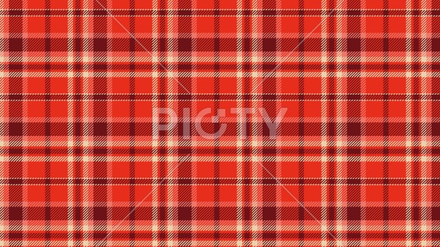 写真のタイトルが入ります