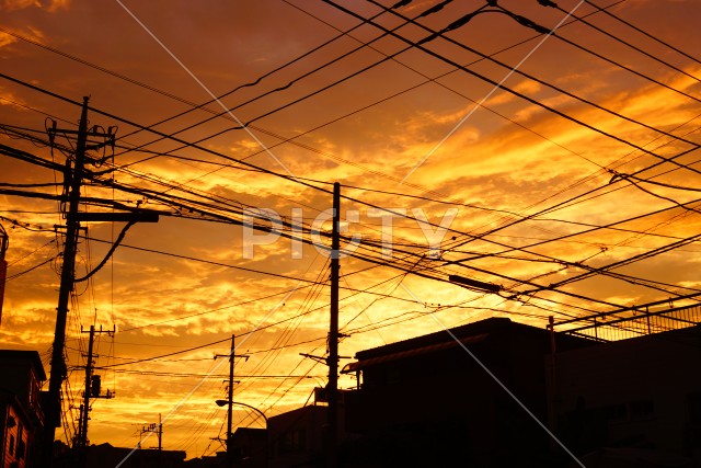 写真のタイトルが入ります