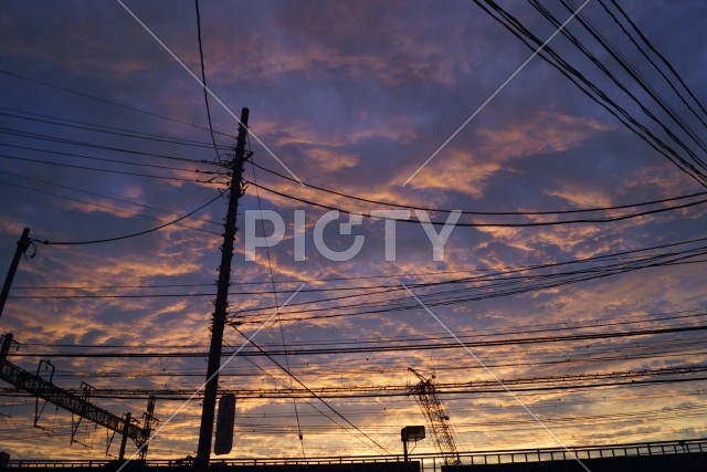 写真のタイトルが入ります