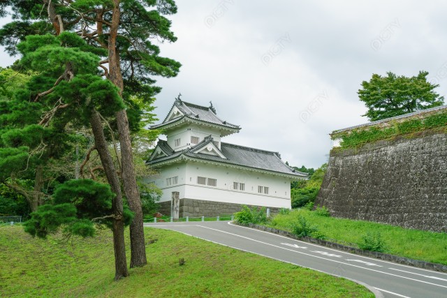 写真のタイトルが入ります