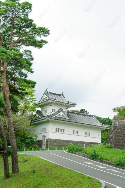 写真のタイトルが入ります