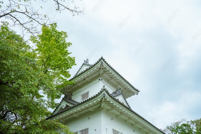 写真のタイトルが入ります