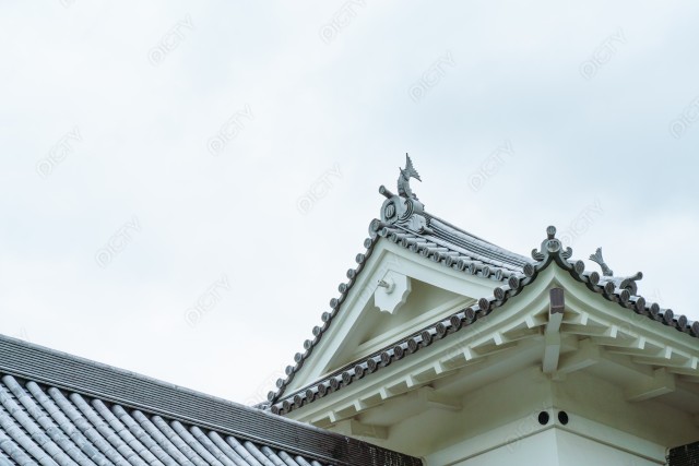 写真のタイトルが入ります