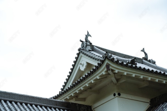 写真のタイトルが入ります