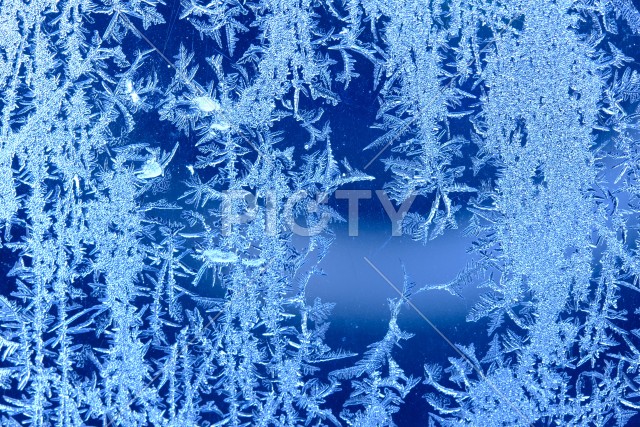 写真のタイトルが入ります