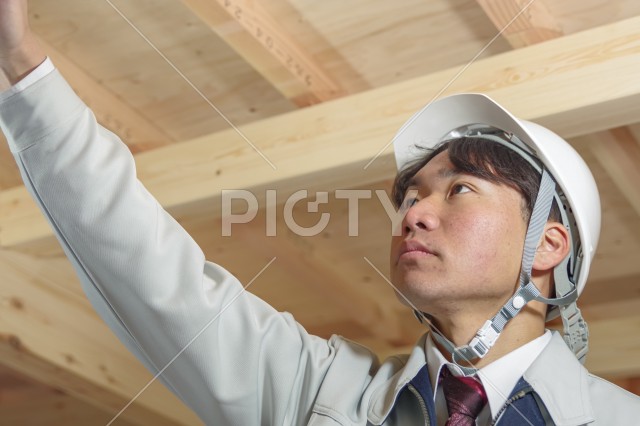 写真のタイトルが入ります