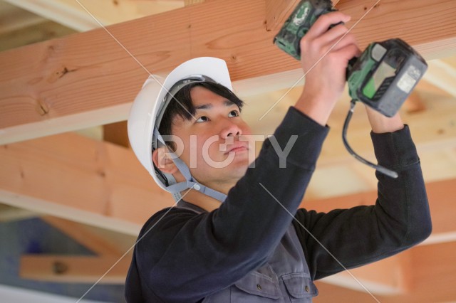 写真のタイトルが入ります