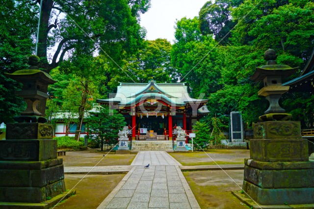 写真のタイトルが入ります