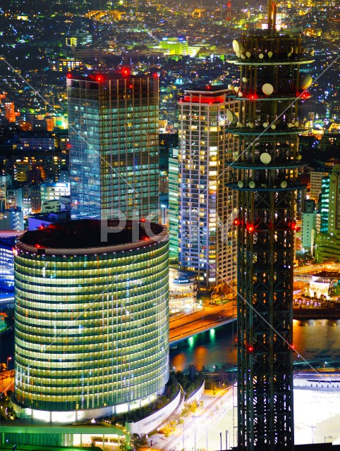 写真のタイトルが入ります